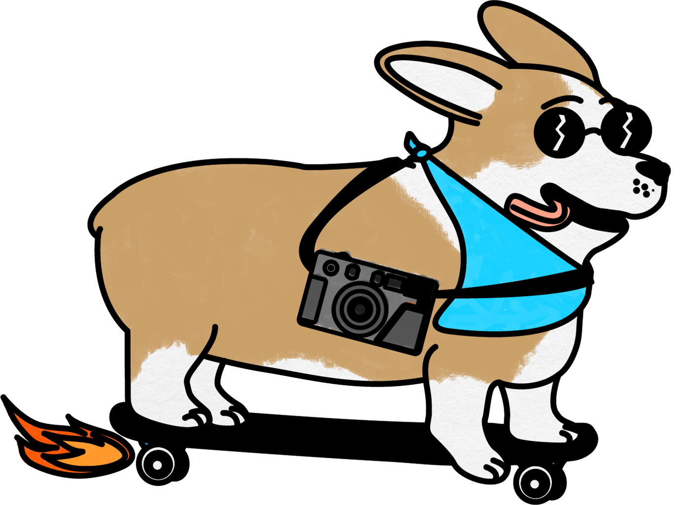 dog on a skateboard